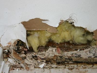 About Attic Mold Removal Westbrook - attic mold removal experts in Westbrook